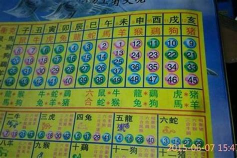 狗是什么号码|12个生肖中共有49个号码，各分别的号码是什么？